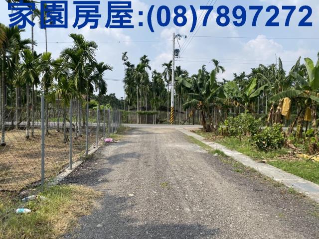 內埔農地-6