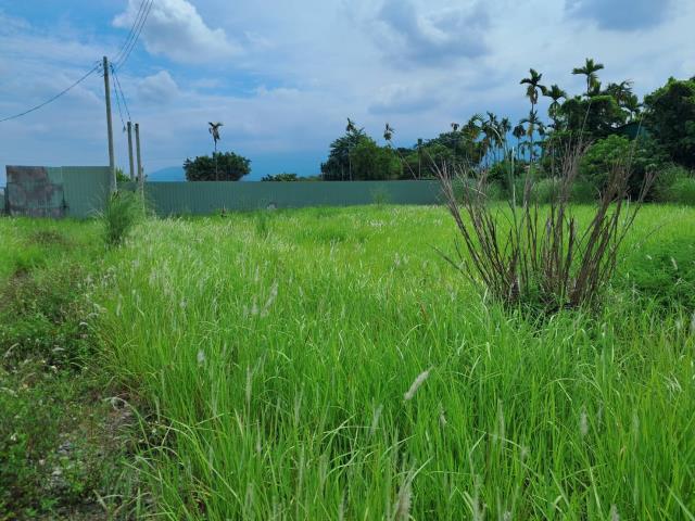萬巒農地-7