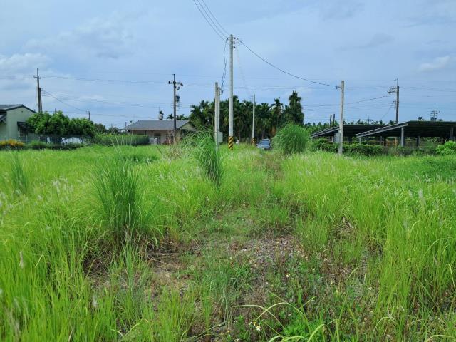 萬巒農地-8