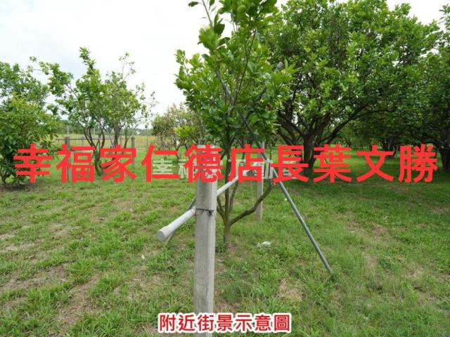 麻豆農地-14