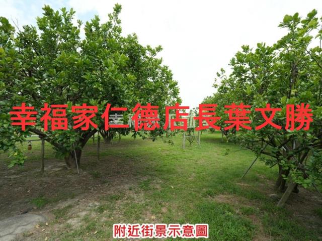 麻豆農地-3