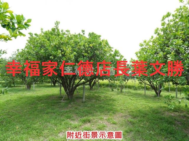 麻豆農地-7
