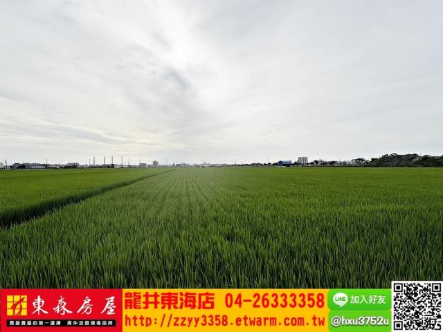 台中龍井農地-3