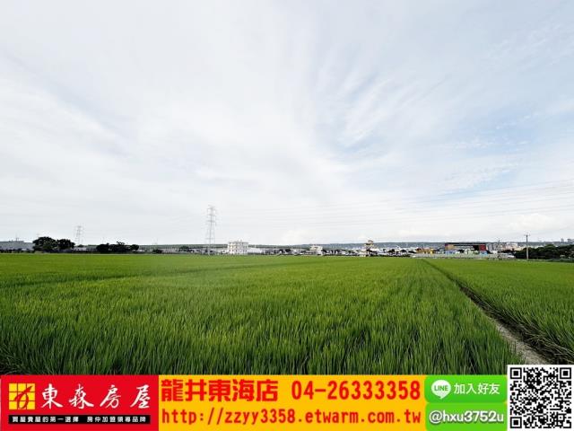 台中龍井農地-1