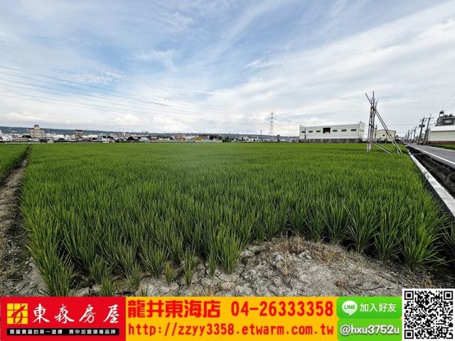 台中龍井農地-3