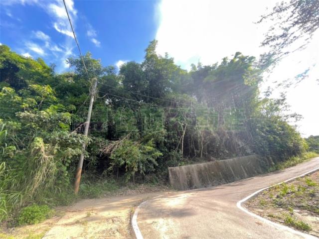 台南東山農地-3