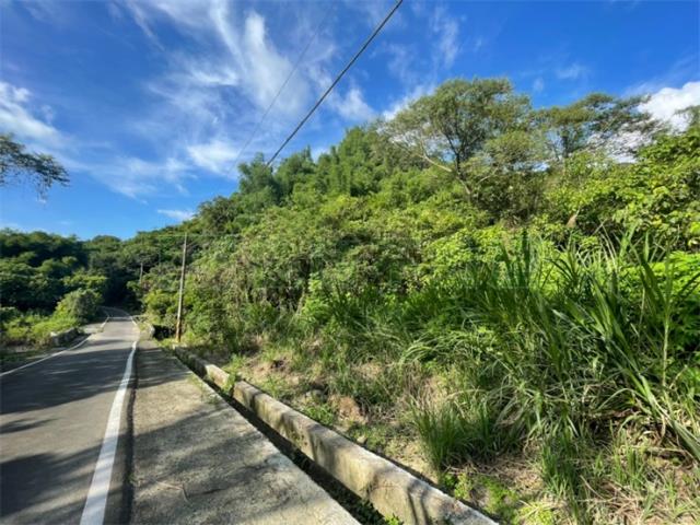 台南東山農地-9