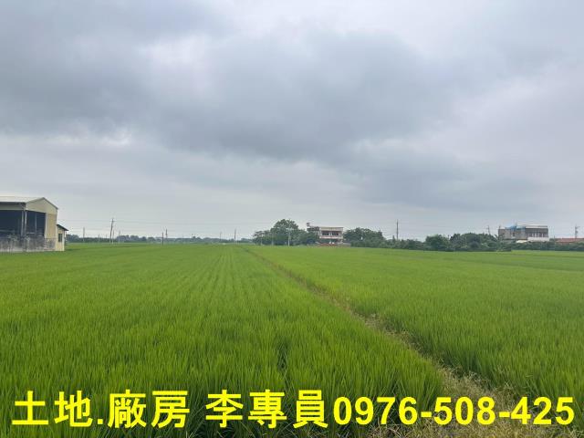 埤頭農地-1