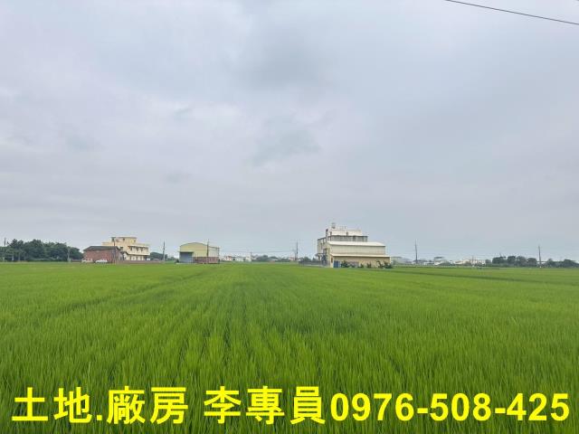 埤頭農地-5