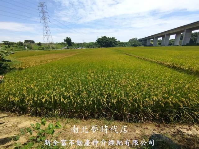 台南農地-12