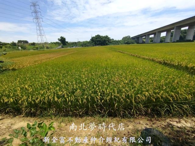 台南農地-14