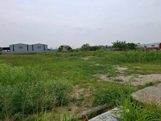 台南農地-1