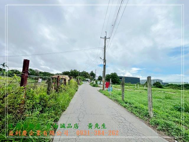 591黃培倫591