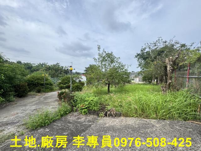 高雄仁武都內農地-5
