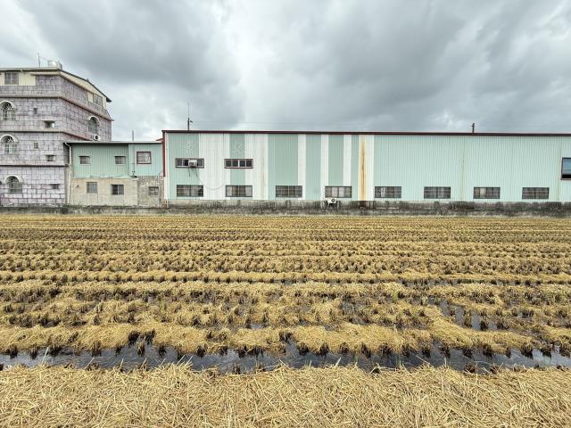 高雄岡山農地-8
