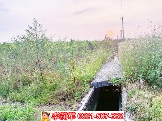 台南白河農地-8
