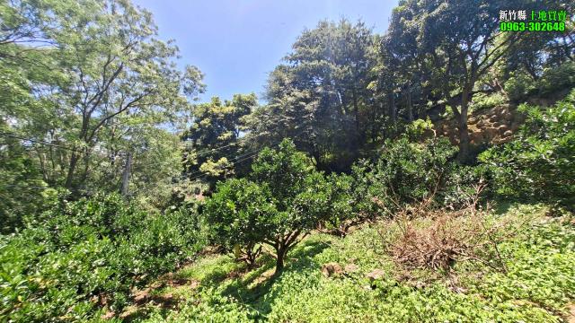 新竹北埔農地-7
