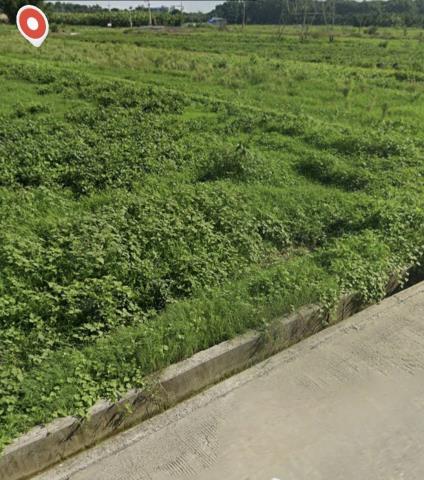 台南官田農地-3