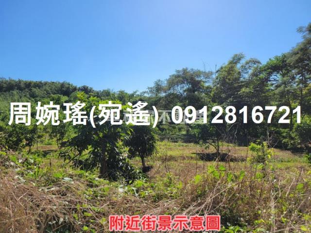 左鎮農地-14