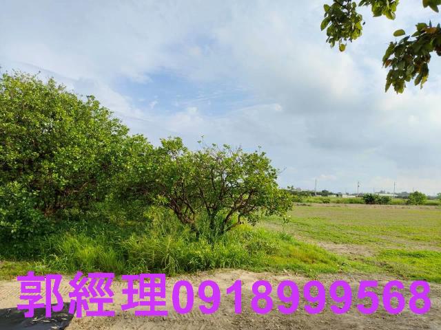 佳里農地-13