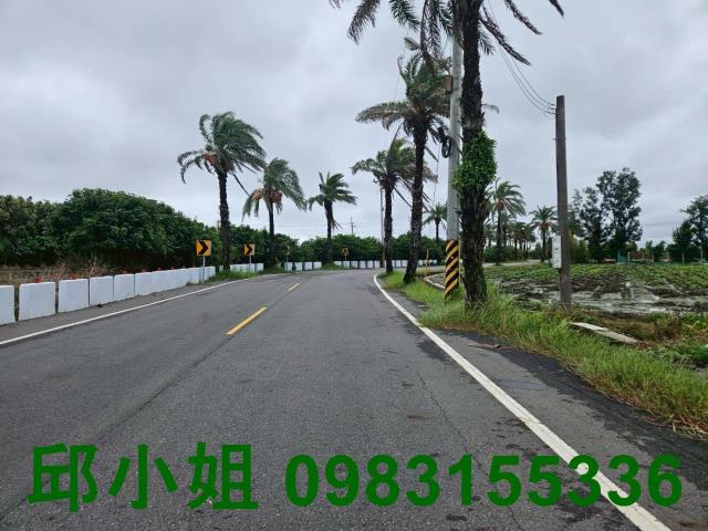 四湖農地-2