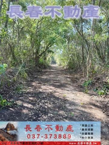 苗栗市農地-3