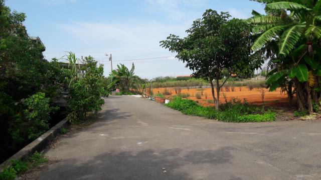 桃園農地-1