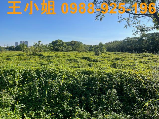 桃園中壢農地-2