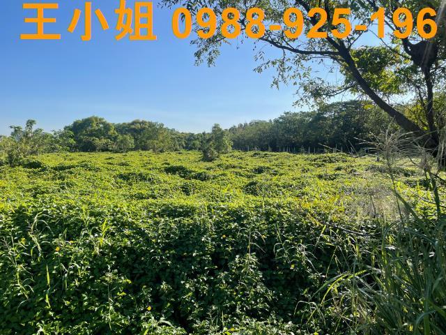 桃園中壢農地-3