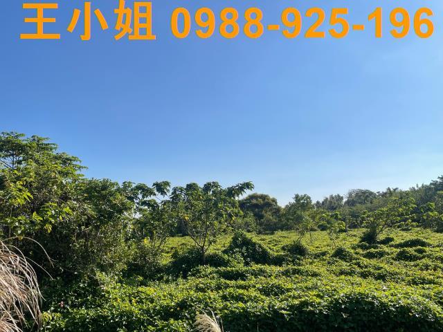 桃園中壢農地-4