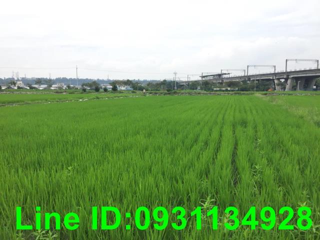 台中后里農地-1