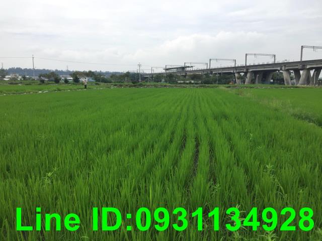 台中后里農地-2