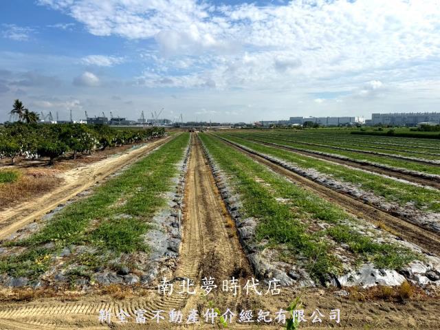 台南新市農地-9