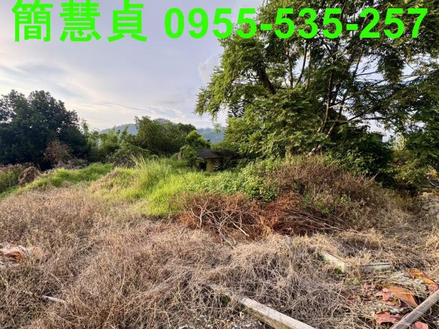 南投草屯建地-1
