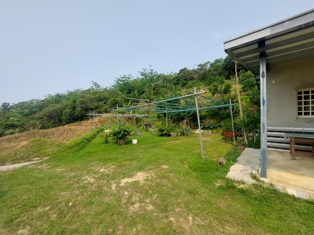 新竹新埔農地-12