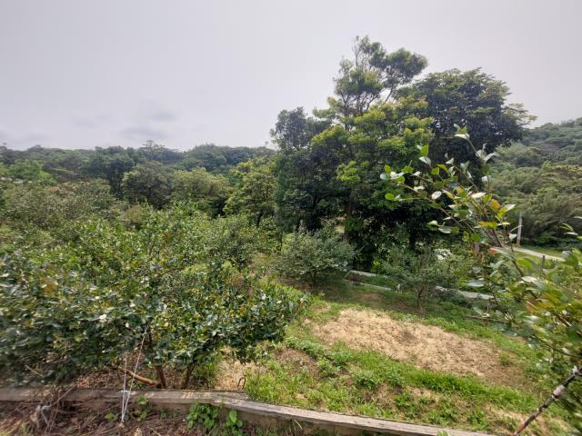 新竹新埔農地-13