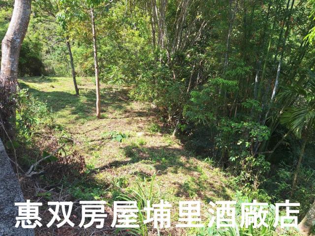 南投埔里農地-3