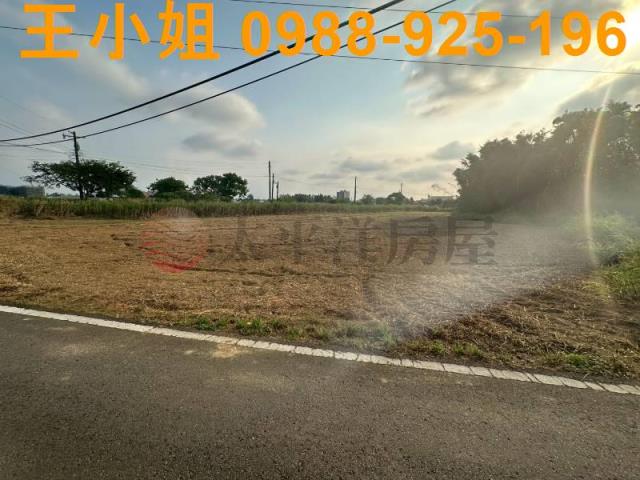 大園農地-3