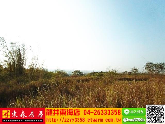 龍井旱-6
