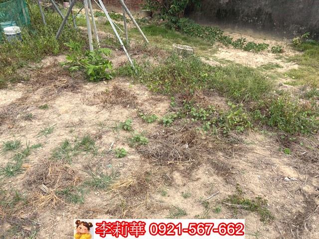 新化建地-3