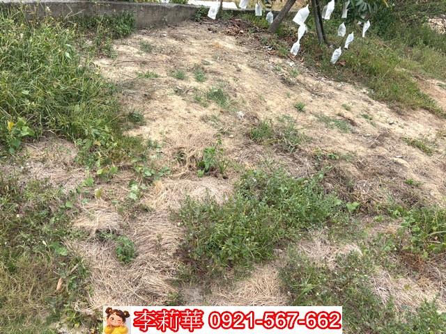 新化建地-5