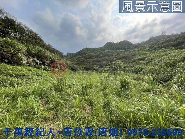石門農地-3