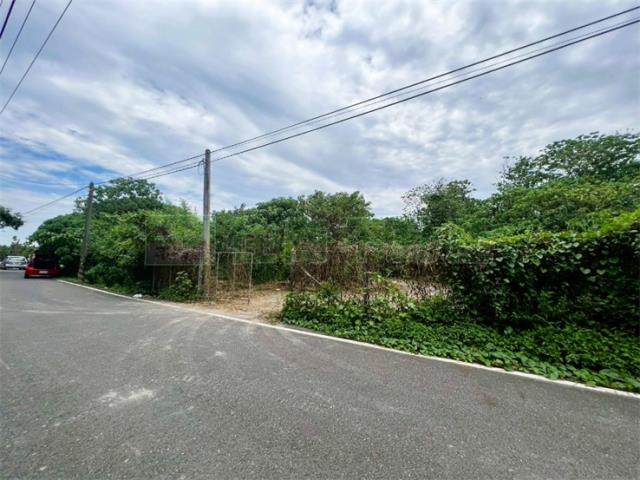 竹田農地-3