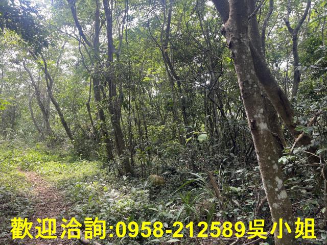 苗栗三義山坡地-5