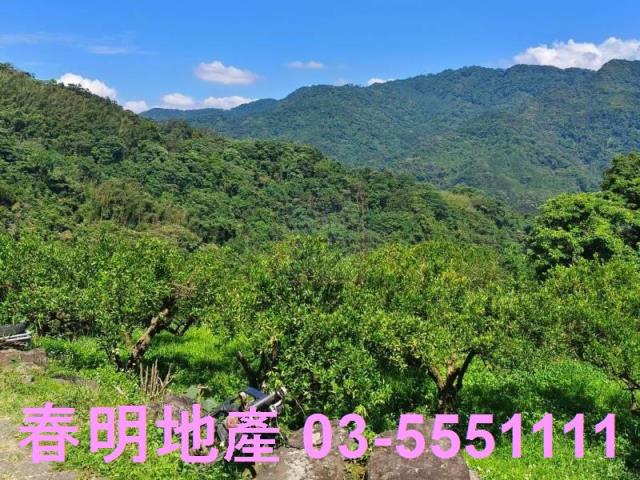 橫山農地-3