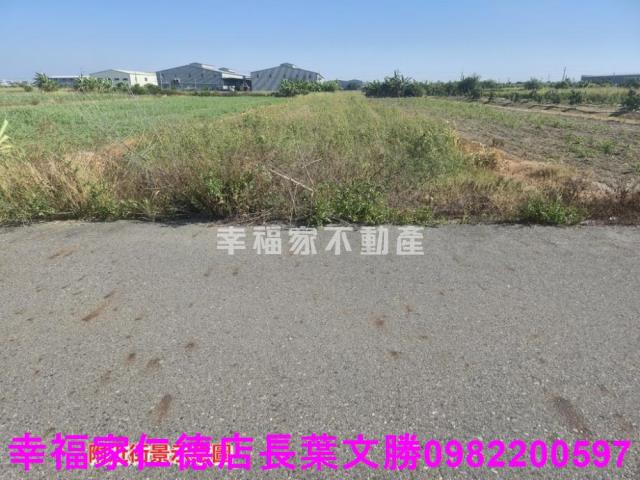 安定農地-11