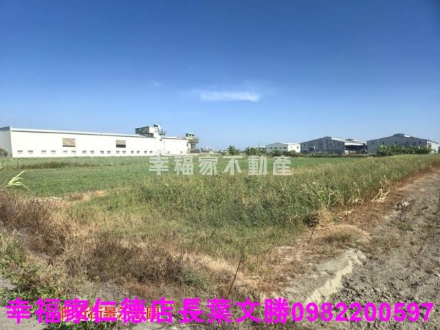 安定農地-14