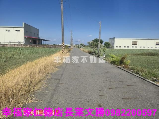 安定農地-8
