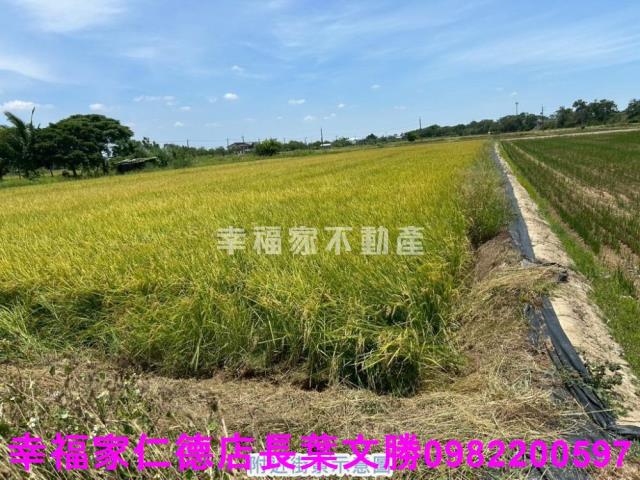 官田農地-15