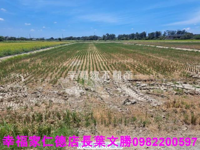 官田農地-1